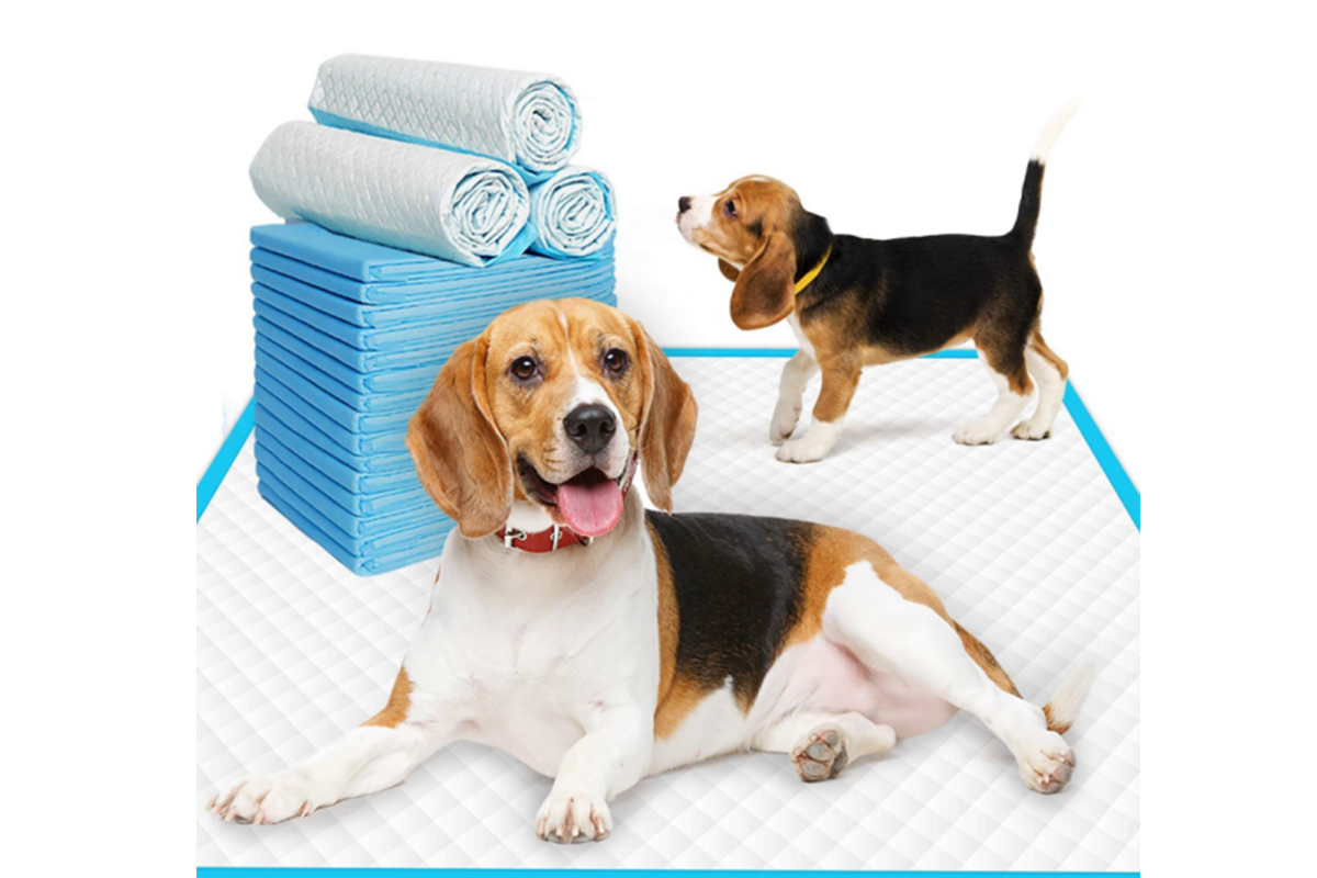 Pet Pee Training Pads Super Absorb for training pet (White color)