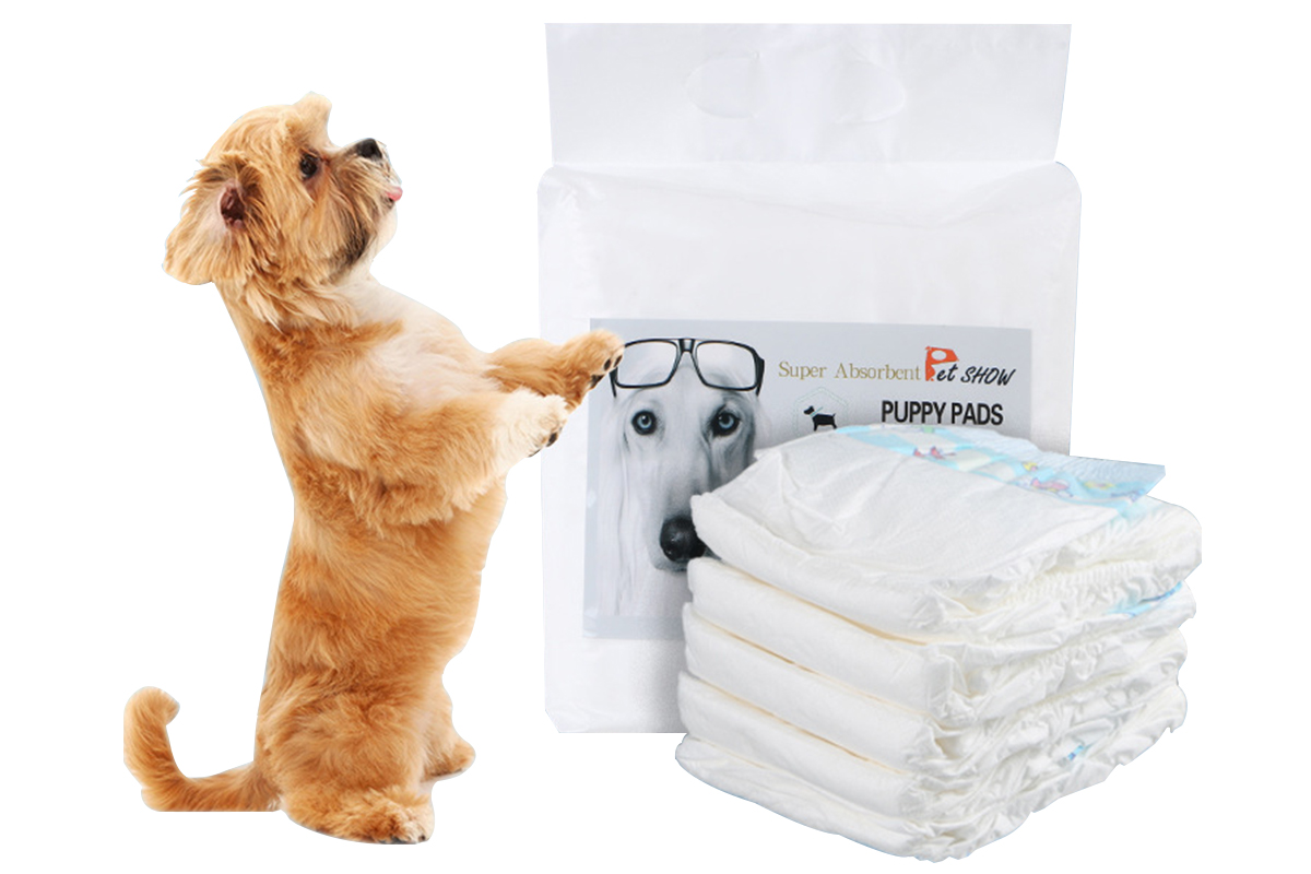 Wholesale Absorbent Soft Disposable Female Dog Pet Supply Diapers For Dogs