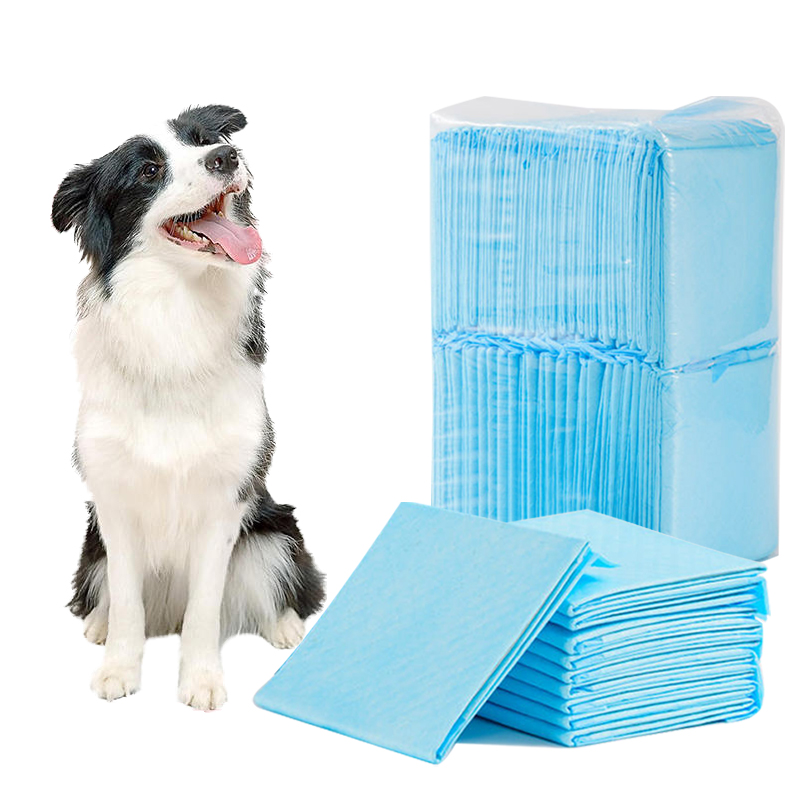 Support OEM/ODM high quality dog pee blue pet cat mat puppy potty training wholesalers package pads