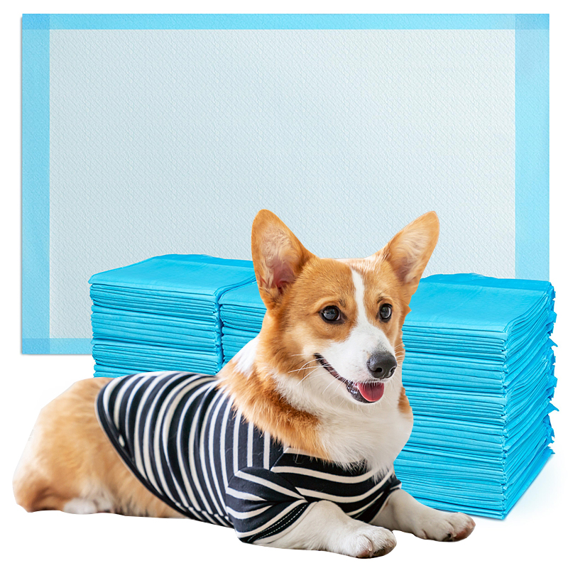 Potty Training Leak Proof Waterproof Absorbent Mats Pee Pet Disposal Water Absorption Indoor Urine Pads for Dogs