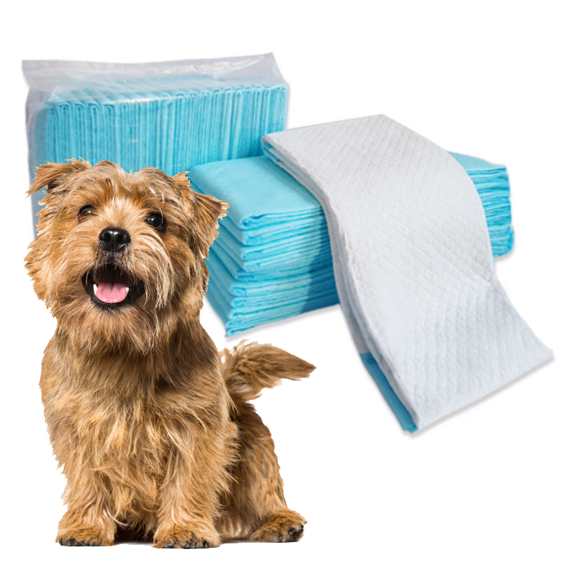 Low price wholesale pet training supplies high quality absorbent pad for dogs