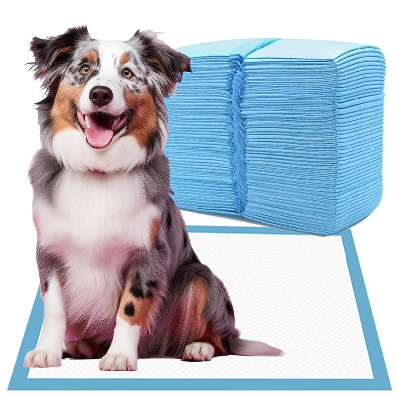 Leak Prevention Customized Disposable Dog and Puppy Pet Dog Training Changing Pee Wee Pads with odor removal