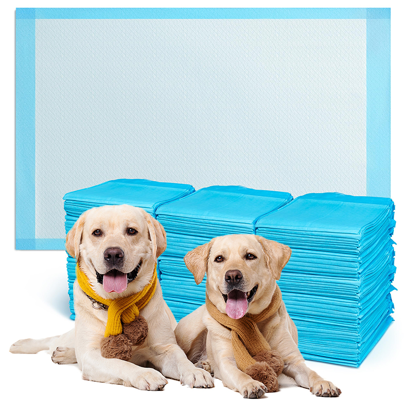 Factory Directly Sale 6 Layer Super Absorbent Puppy Dogs Potty Disposable Pet Training Pee Pads