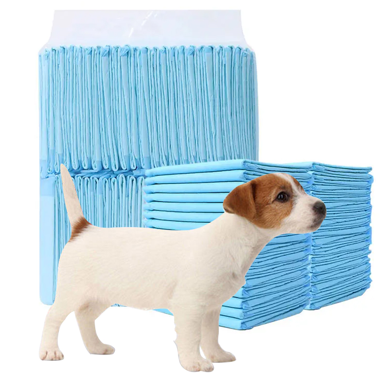 Pet Training Pads China Manufacturer Customized Disposable Pee Pet Urinal Puppy Training Pads